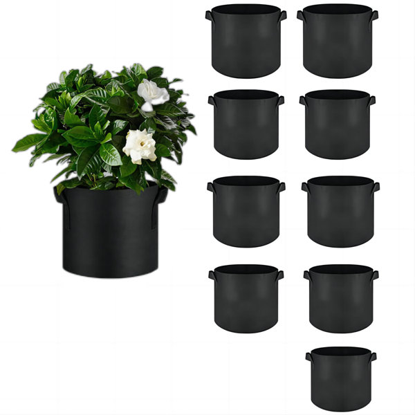 Ebern Designs Paisynn Nursery Pot & Reviews Wayfair